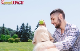 Dogs’ companions in Barcelona will “rinse” after their pets